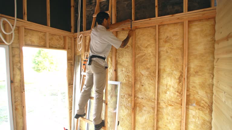 Best Insulation for New Construction  in Garrison, TX